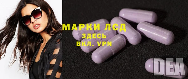 молекула духа Арсеньев