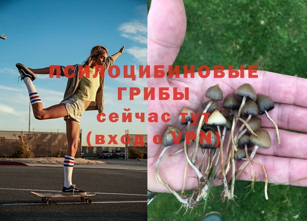молекула духа Арсеньев