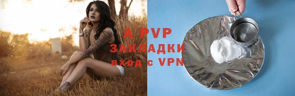 молекула духа Арсеньев