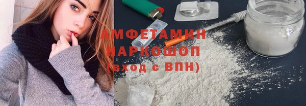 молекула духа Арсеньев