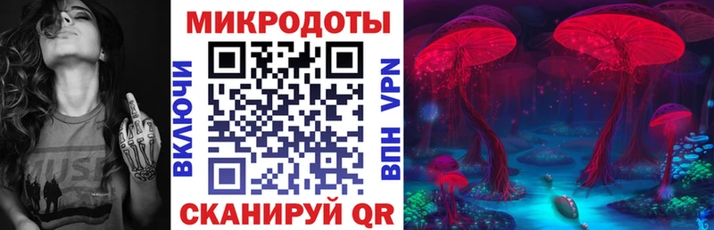 Галлюциногенные грибы Cubensis  Межгорье 